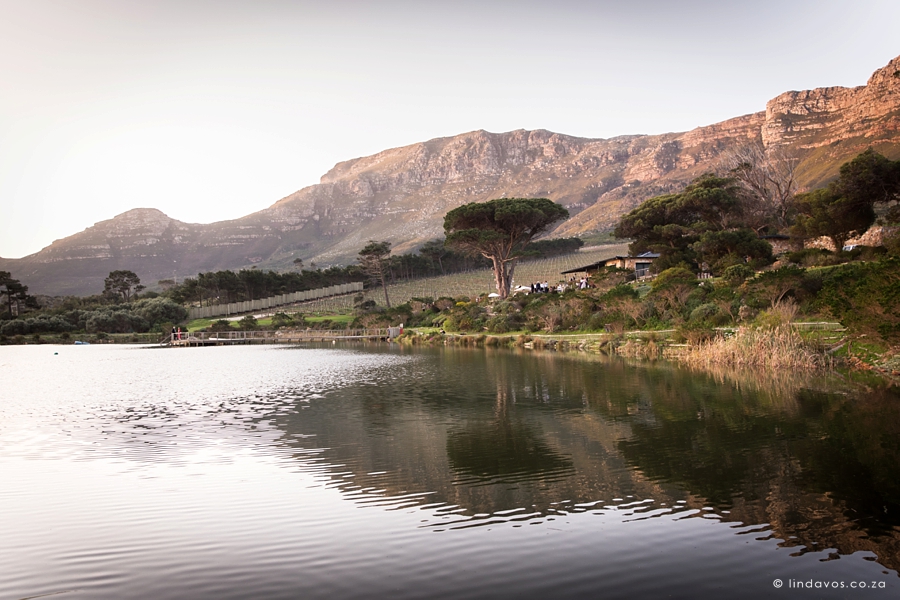 0081-Cape-Point-Vineyards-Greek-Wedding-Linda-Vos