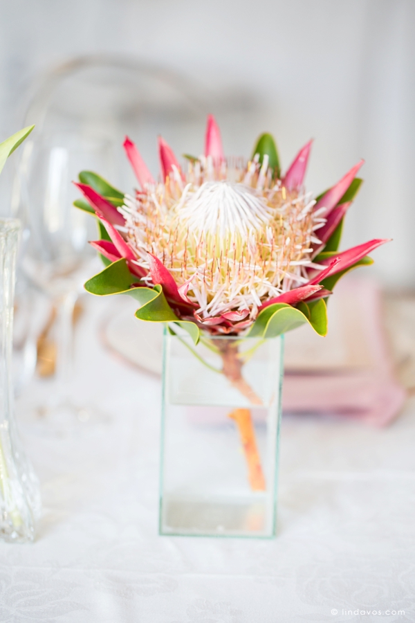 0040-Bona-dea-wedding-Linda-Vos_WEB